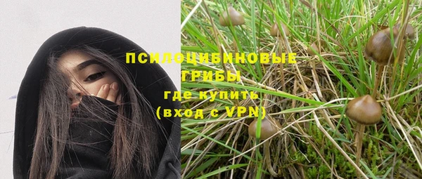 марихуана Абаза